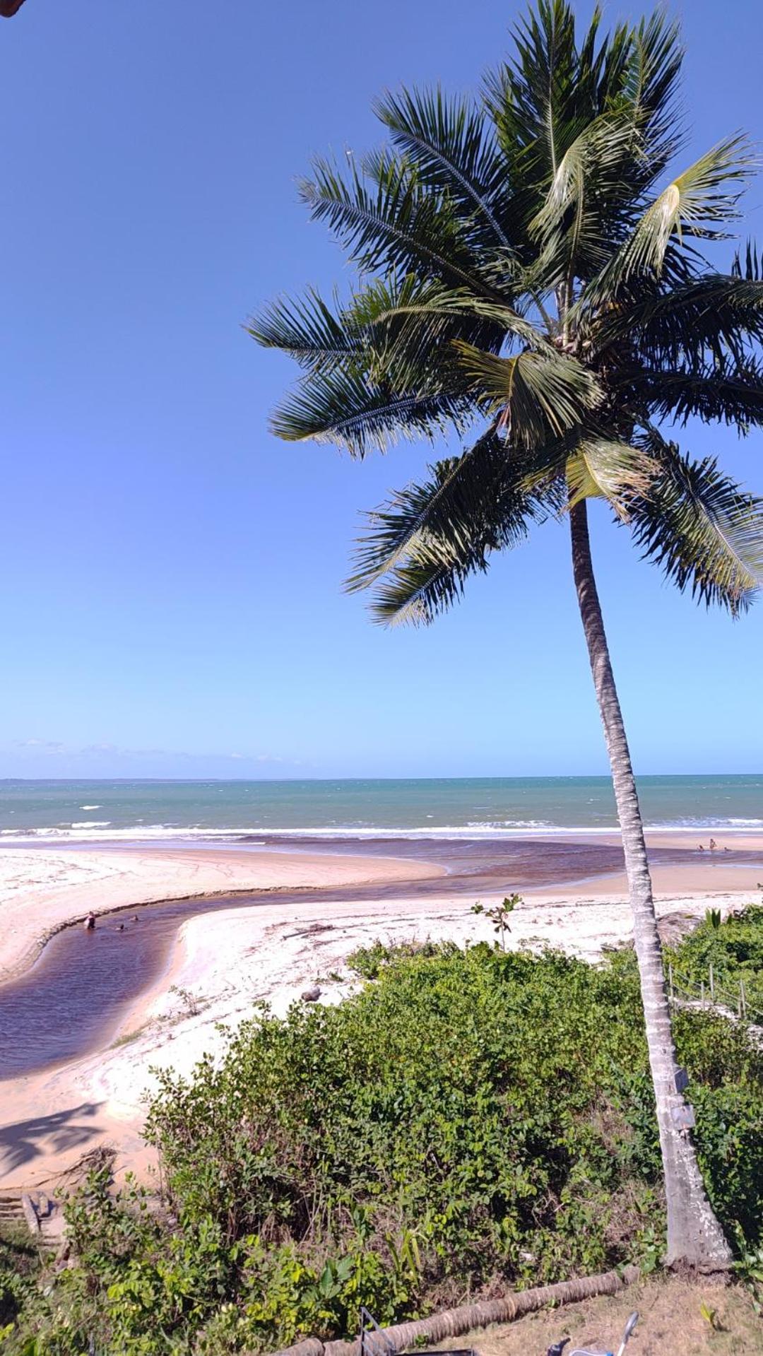 Paraiso Beach Hostel E Pousada ซานตาครูซ กาบราเลีย ภายนอก รูปภาพ
