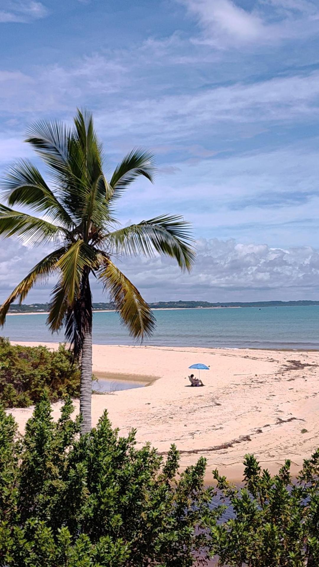 Paraiso Beach Hostel E Pousada ซานตาครูซ กาบราเลีย ภายนอก รูปภาพ